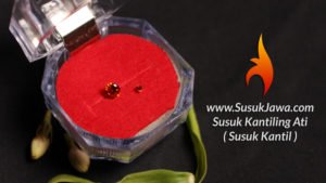 pasang susuk kantil