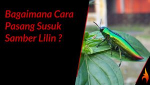 cara pasang susuk samber lilin