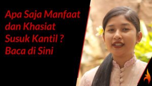 khasiat susuk kantil