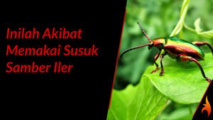 akibat memakai susuk samber iler