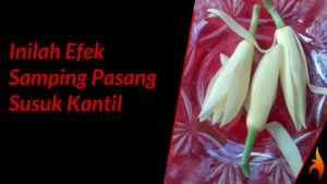 efek samping susuk kantil