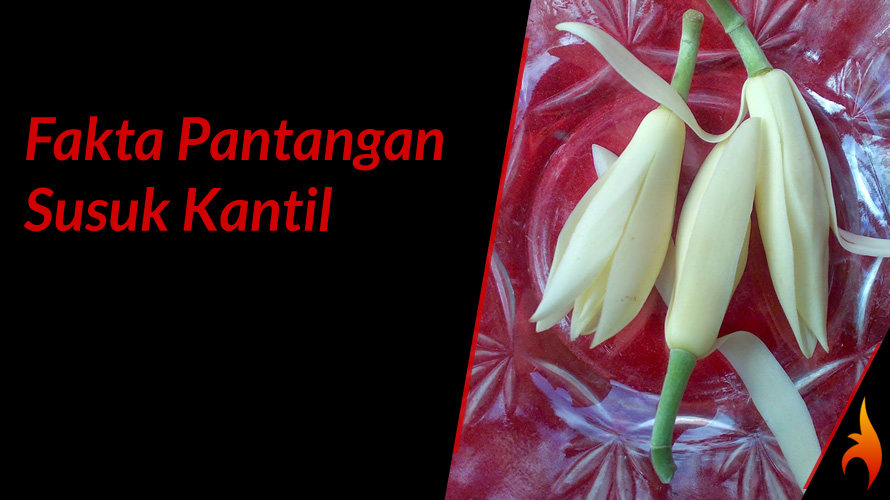 pantangan susuk kantil