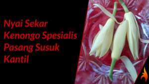 pasang susuk kantil nyai sekar kenongo