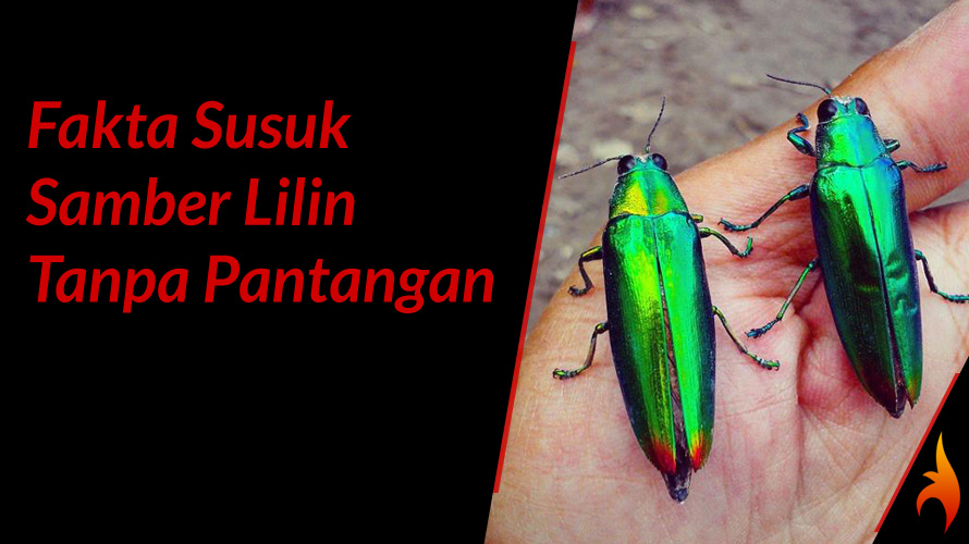 susuk samber lilin tanpa pantangan