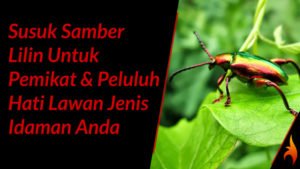susuk samber lilin untuk pemikat dan peluluh hati lawan jenis
