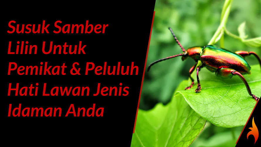 susuk samber lilin untuk pemikat dan peluluh hati lawan jenis