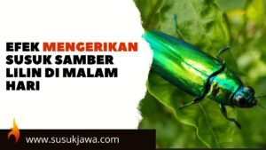 efek susuk samber lilin di malam hari
