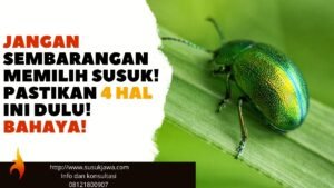 cara memilih susuk yang tepat