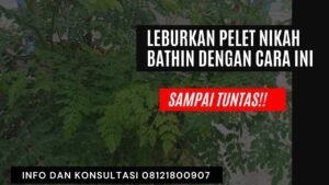 meleburkan susuk loloh dengan daun kelor dan bidara